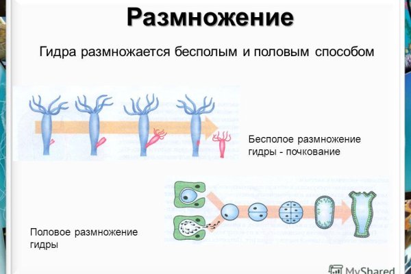 Пользователь не найден кракен даркнет