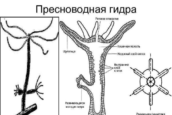 Кракен маркет наркотики